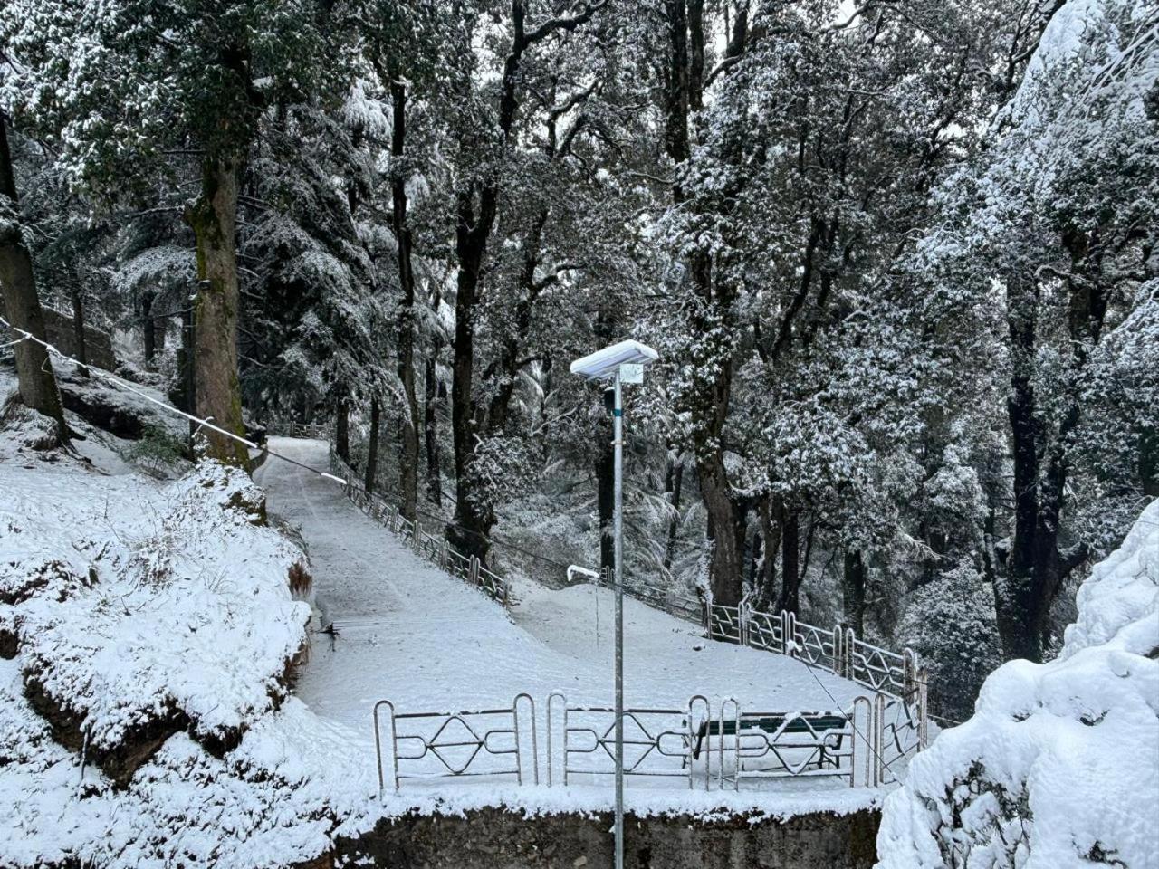 Hotel Jakhu Heights Shimla Exterior foto