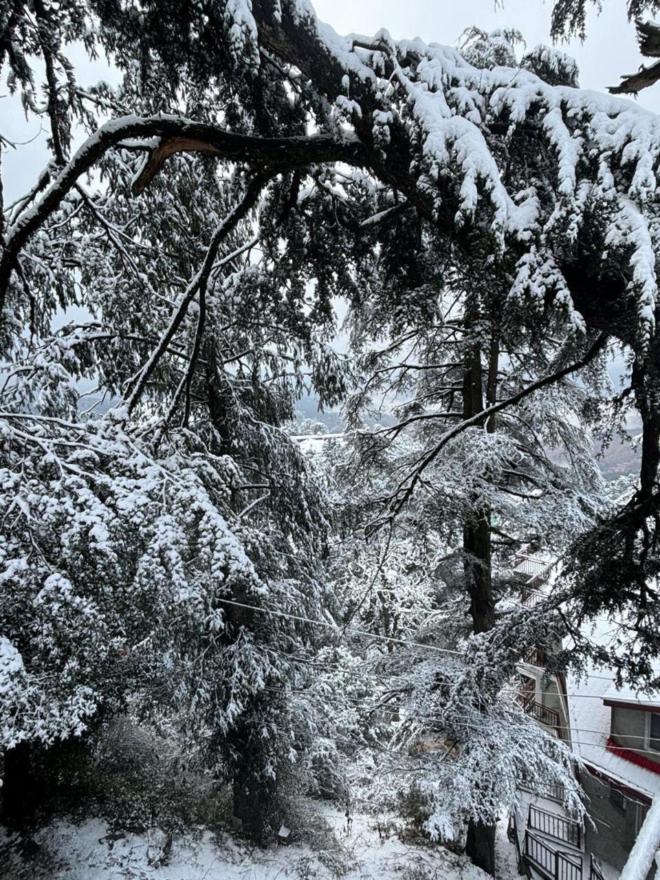 Hotel Jakhu Heights Shimla Exterior foto